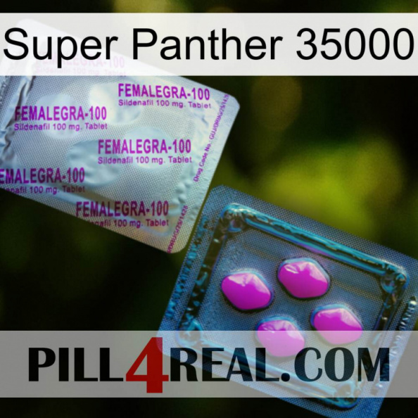 Super Panther 35000 37.jpg